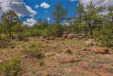 15505 Cuerno Verde View - Photo 7