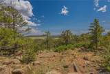 15505 Cuerno Verde View - Photo 8