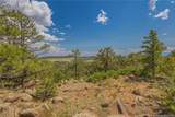 15505 Cuerno Verde View - Photo 9