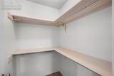3700 Iguana Drive - Photo 19