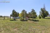 5879 Sue Ellen Drive - Photo 37