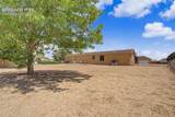 667 Burro Drive - Photo 54