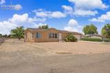 667 Burro Drive - Photo 5