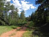 8117 Acoma Drive - Photo 19