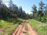 8117 Acoma Drive - Photo 2