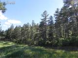 8117 Acoma Drive - Photo 4