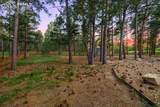 715 Trumpeters Court - Photo 47