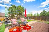 7254 Westerner Drive - Photo 28