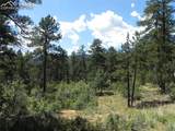 4144 Cheyenne Drive - Photo 15
