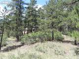 4144 Cheyenne Drive - Photo 16
