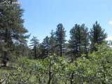 4144 Cheyenne Drive - Photo 21