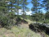 4144 Cheyenne Drive - Photo 5