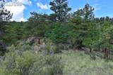 231 Deer Lane - Photo 16