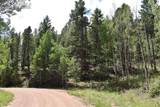 231 Deer Lane - Photo 34