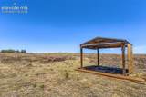 22995 Bar 10 Way - Photo 10