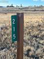 215 Topaz Road - Photo 13