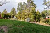 2419 Astron Drive - Photo 44
