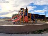 4031 Samaritan Loop - Photo 31