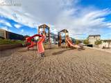 4031 Samaritan Loop - Photo 32