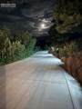 3285 Hamal Circle - Photo 50