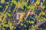 61 Forge Drive - Photo 46