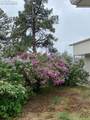 2911 County Road 103 - Photo 28