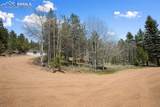 1011 Bison Creek Trail - Photo 2