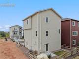 7866 Piton Point - Photo 49