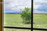 22120 Mcdaniels Road - Photo 14