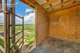 22120 Mcdaniels Road - Photo 31
