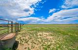 22120 Mcdaniels Road - Photo 33