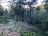 285 Forest Road - Photo 10