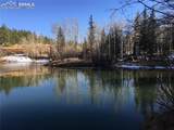 285 Forest Road - Photo 15