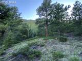285 Forest Road - Photo 6