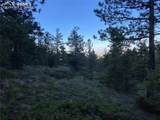 285 Forest Road - Photo 8