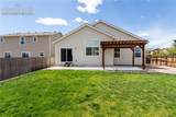 7489 Alpine Daisy Drive - Photo 41