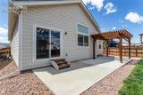 7489 Alpine Daisy Drive - Photo 43