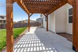 7489 Alpine Daisy Drive - Photo 44