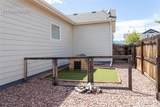 7489 Alpine Daisy Drive - Photo 45