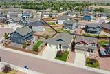 7489 Alpine Daisy Drive - Photo 48