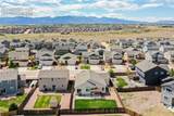 7489 Alpine Daisy Drive - Photo 49