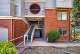 3616 Iguana Drive - Photo 1