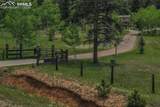1901 Rampart Range Road - Photo 49