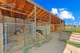 6245 Peerless Farms Road - Photo 51
