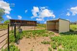 6245 Peerless Farms Road - Photo 54