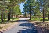 390 Stirrup Trail - Photo 2