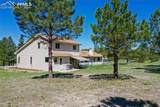 390 Stirrup Trail - Photo 6