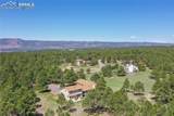 390 Stirrup Trail - Photo 8