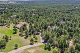 390 Stirrup Trail - Photo 9