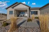 113 Alexis Drive - Photo 7